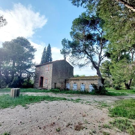 Mazet du Château Joyeux de Violet Pépieux Exterior foto