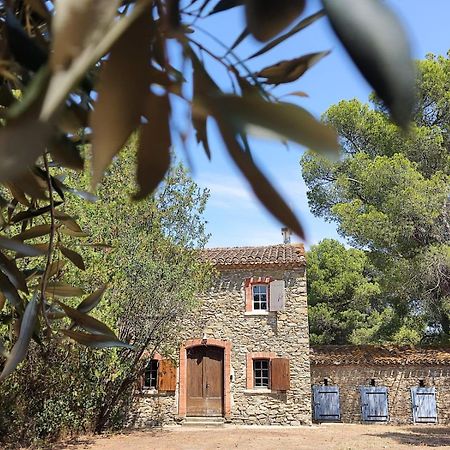 Mazet du Château Joyeux de Violet Pépieux Exterior foto