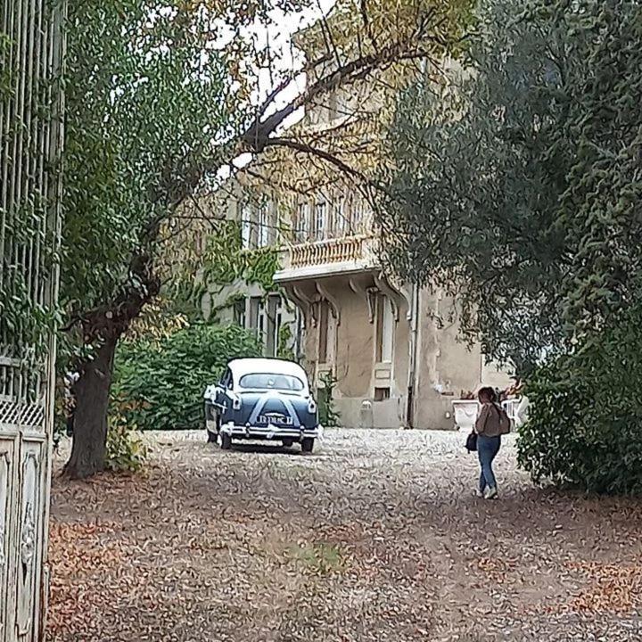 Mazet du Château Joyeux de Violet Pépieux Exterior foto